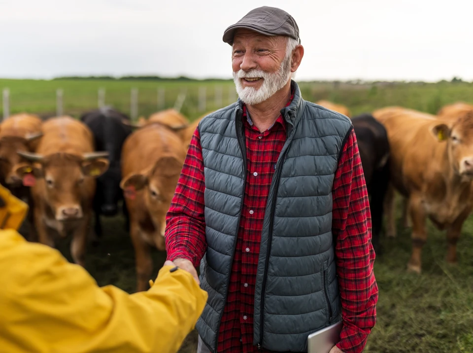 Photographie d'un véhicule de livraison réfrigéré blanc ou de marque neutre, ouvert ou en cours de chargement, montrant clairement des colis de viande emballés professionnellement en bac frigorifique ou carton isotherme. L'image doit mettre l'accent sur la qualité et la sécurité de la conservation du froid, avec des équipements visiblement maîtrisés et professionnels. Pas de personne visible sauf potentiellement un livreur (de dos ou légèrement flou) manipulant un colis, afin d'illustrer le contrôle interne du transport. L'atmosphère doit transmettre fiabilité, traçabilité et fraîcheur garantie.
